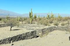 viaje a tucuman2016 (39)